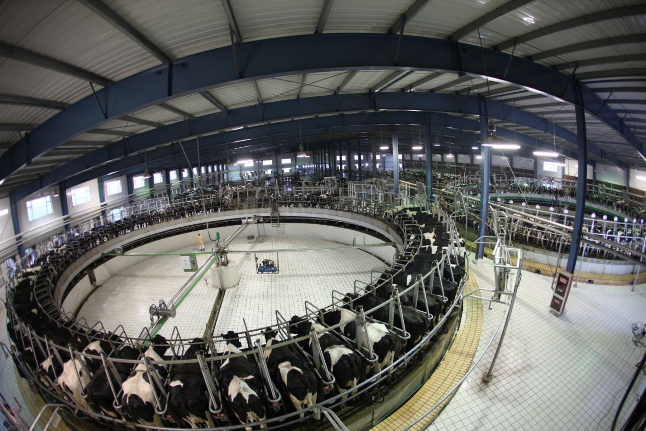 La Chine Construit La Plus Grande Ferme Du Monde 9 1 Millions D La Chine Construit La Plus Grande Ferme Du Monde 9 1 Millions D