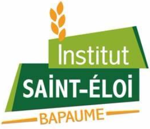 Logo Institut Saint-Eloi