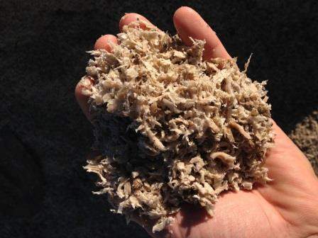 Avis Pulpe de betterave surpressée de la marque Margaron Aliments de