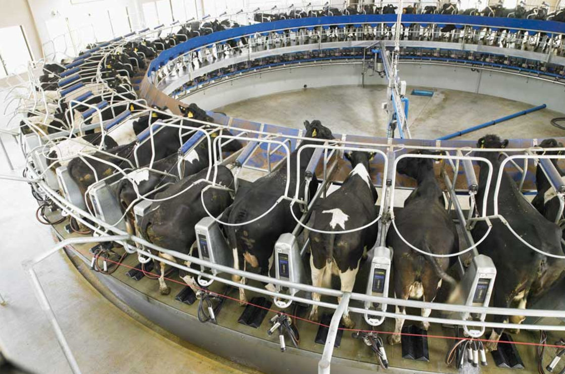 Les Differents Types De Salle De Traite Avis Tandem de la marque DeLaval - Salles de traite