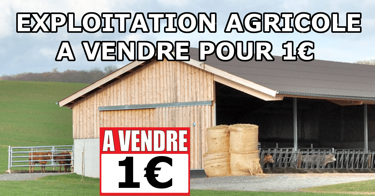 Des exploitations à vendre sur Leboncoin pour 1 euro...