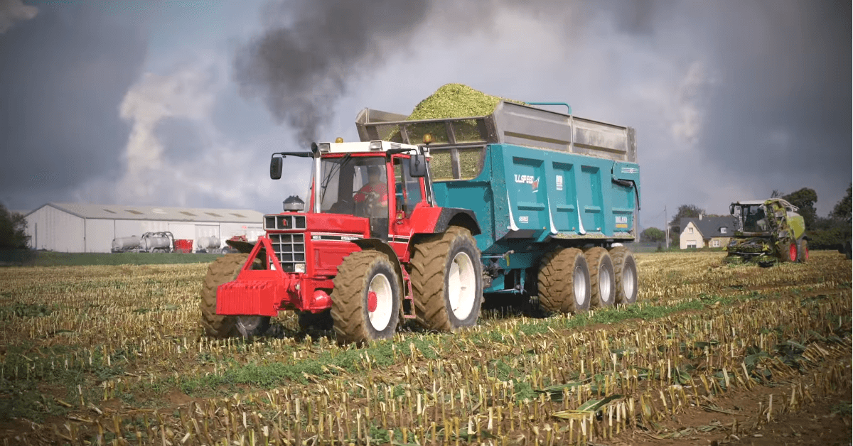 Une légende à l'ensilage avec l'International 1445 XL by HLG Machinery