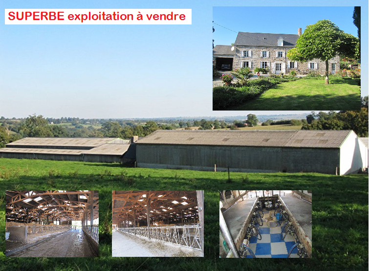 Exploitation agricole à vendre, CALVADOS, élevage et cultures, sur 90 ...