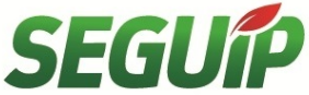 Logo Seguip